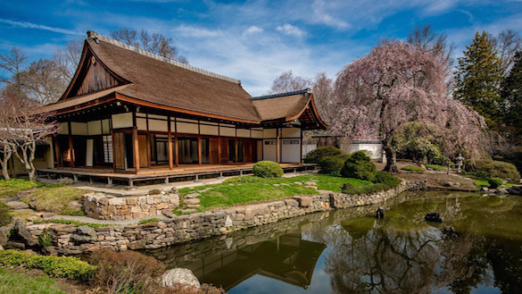 The Shofuso Japanese House and Garden