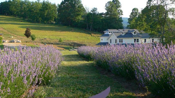 Beliveau Estate Bed and Breakfast and Winery