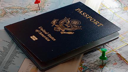 Faux Expired Passport